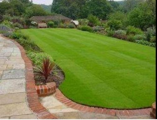 تنسيق الحدائق